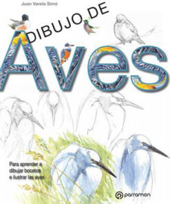 Dibujo de Aves