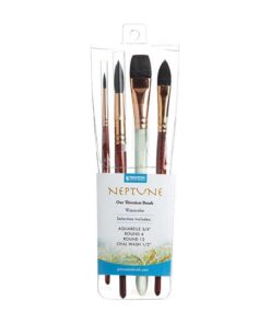 Juego profesional Netune